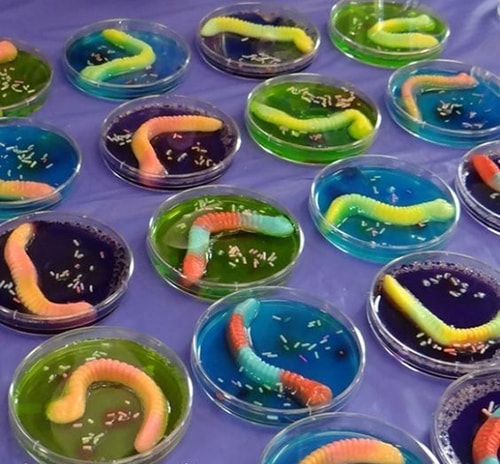 Eetbare bacteriën